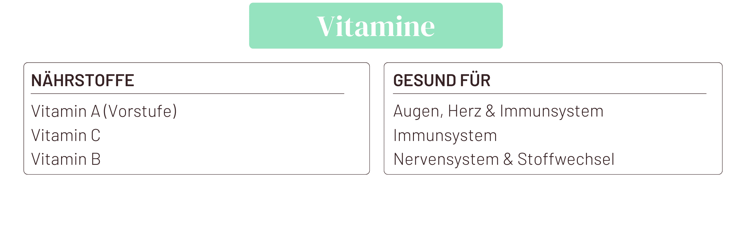 Naehrstoffe Kürbis - hier Vitamine