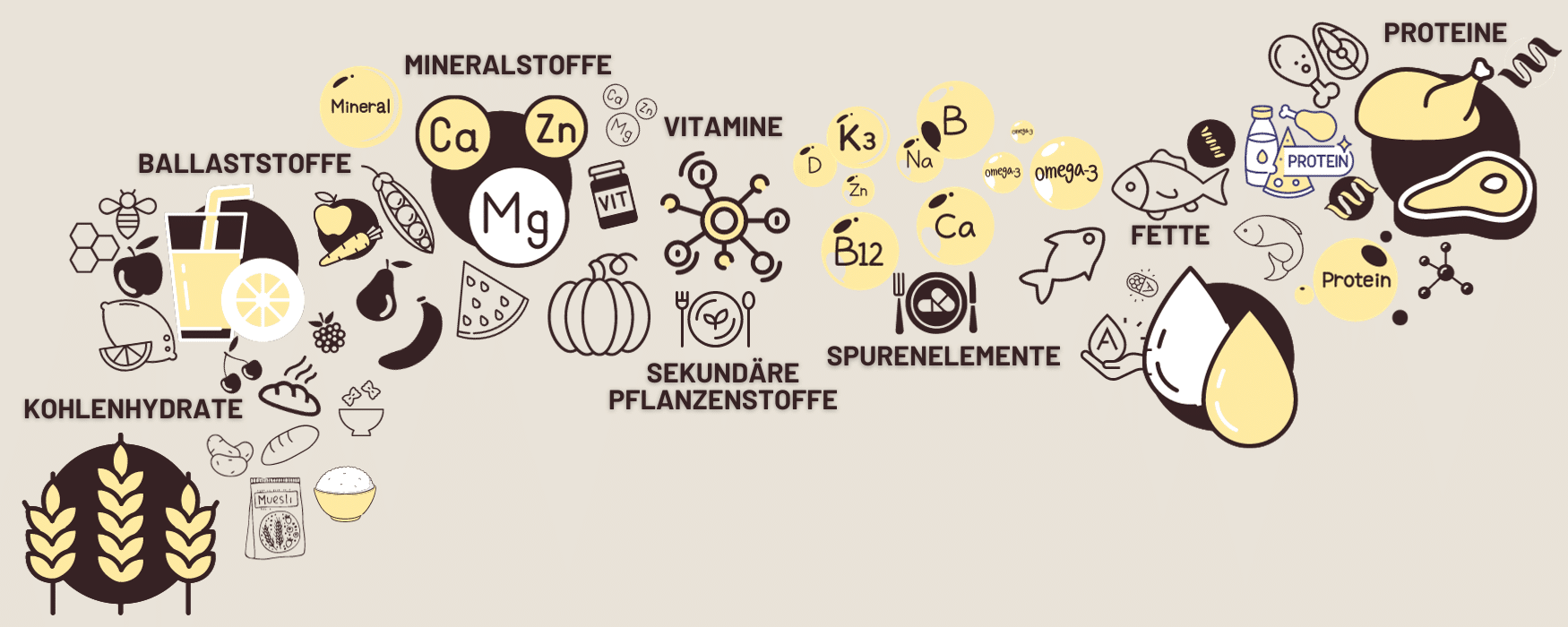 Nährstoffe und ihre Funktionen: Lernen und Verstehen